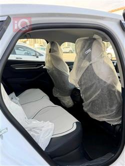 بی وای دی دیسترۆیەر 05